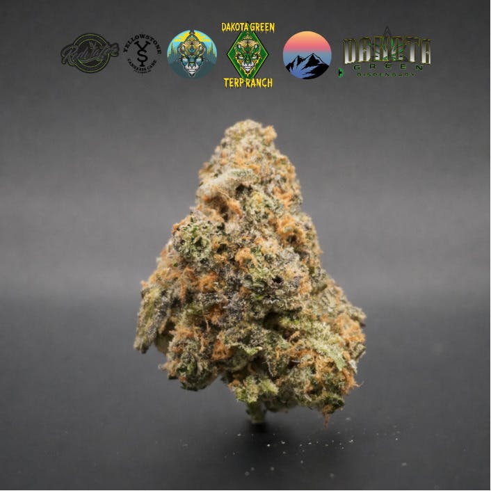 Dakota Gelato at Yellowstone Cannabis Care - A Dakota Green Cultivators Dispensary