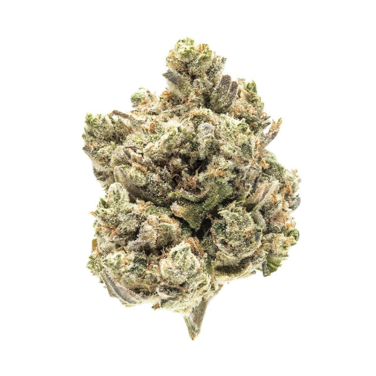 SOLACE GROWN - TROPICANA BANANA - 4G
