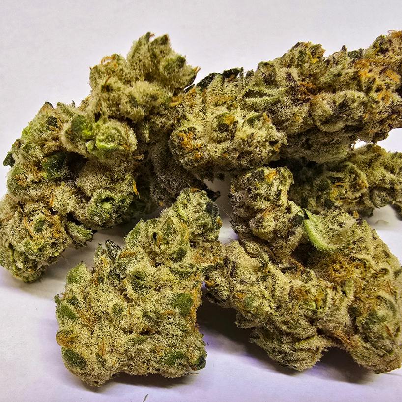 JAM SANDWICH - SALE POPCORN - 1/2OZ