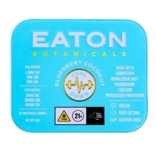 EATON | COOL DOWN BLUEBERRY COCONUT | 100MG