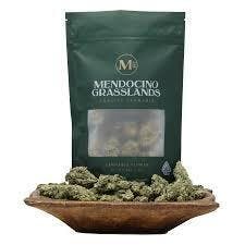 Mendocino Grasslands — Mango