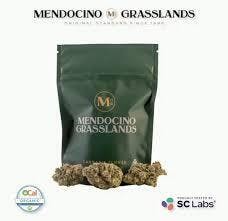 Mendocino Grasslands — Piff