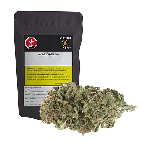 Station House - Blue Dream Dried Flower - 14g