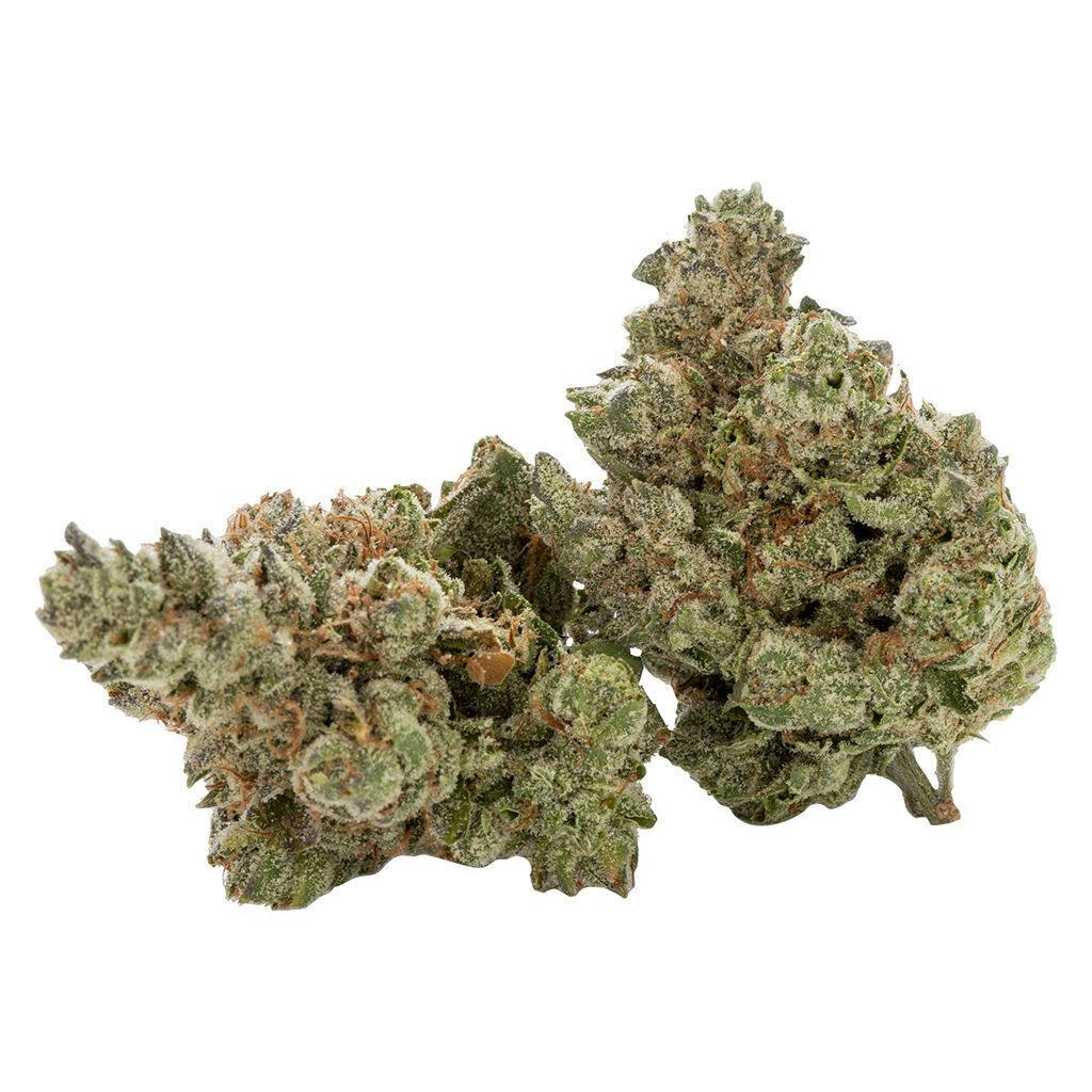 Cactus - Black Triangle - 3.5g