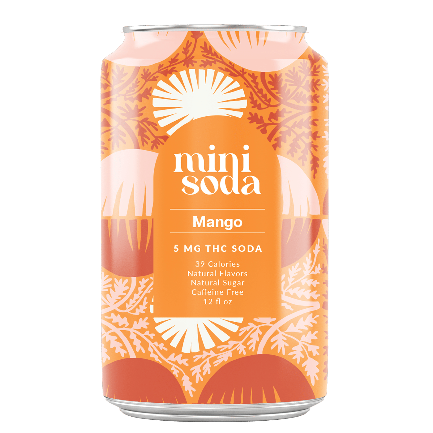 Mini Soda - Mango Soda - Single Can