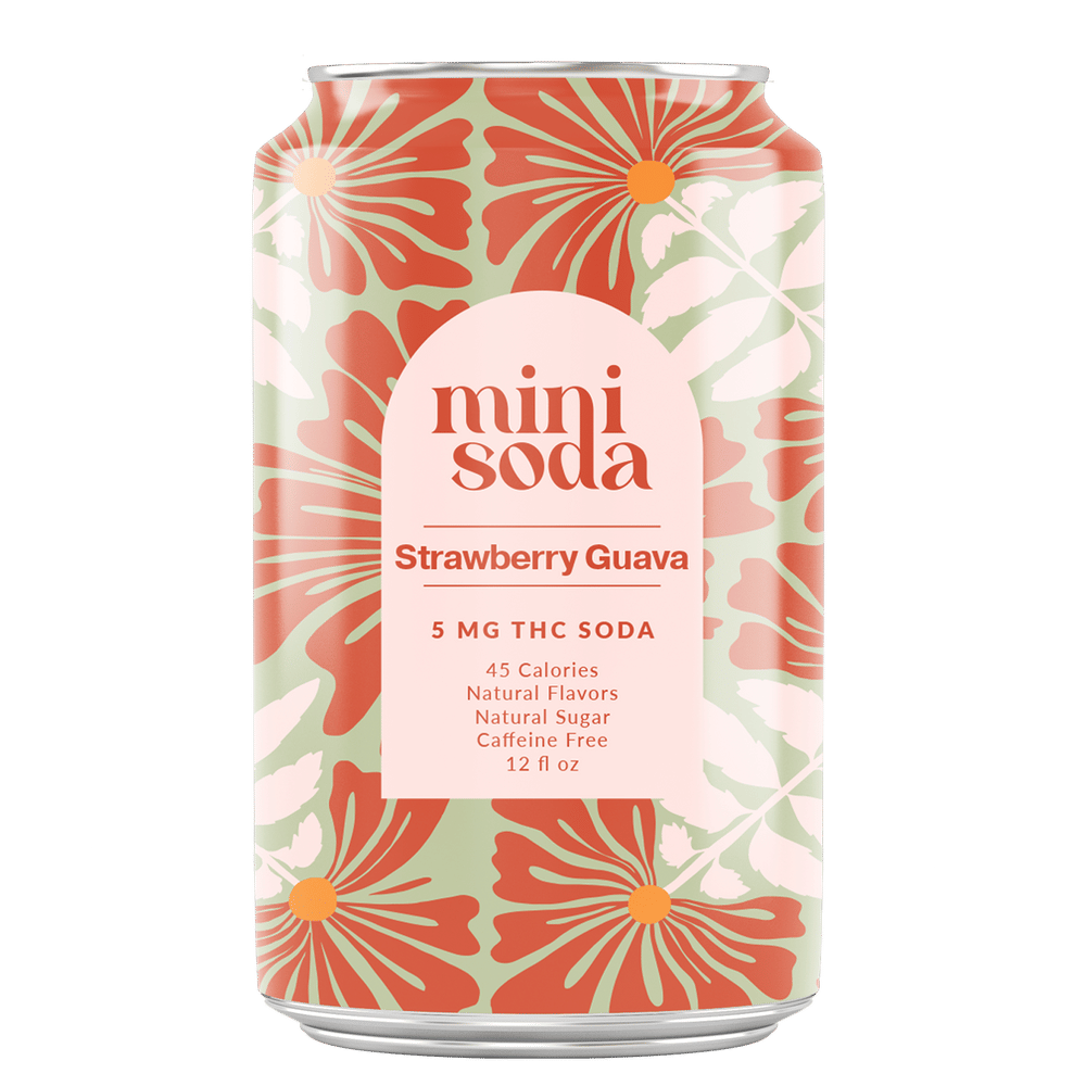Mini Soda - Strawberry Guava Soda - 4 Pack