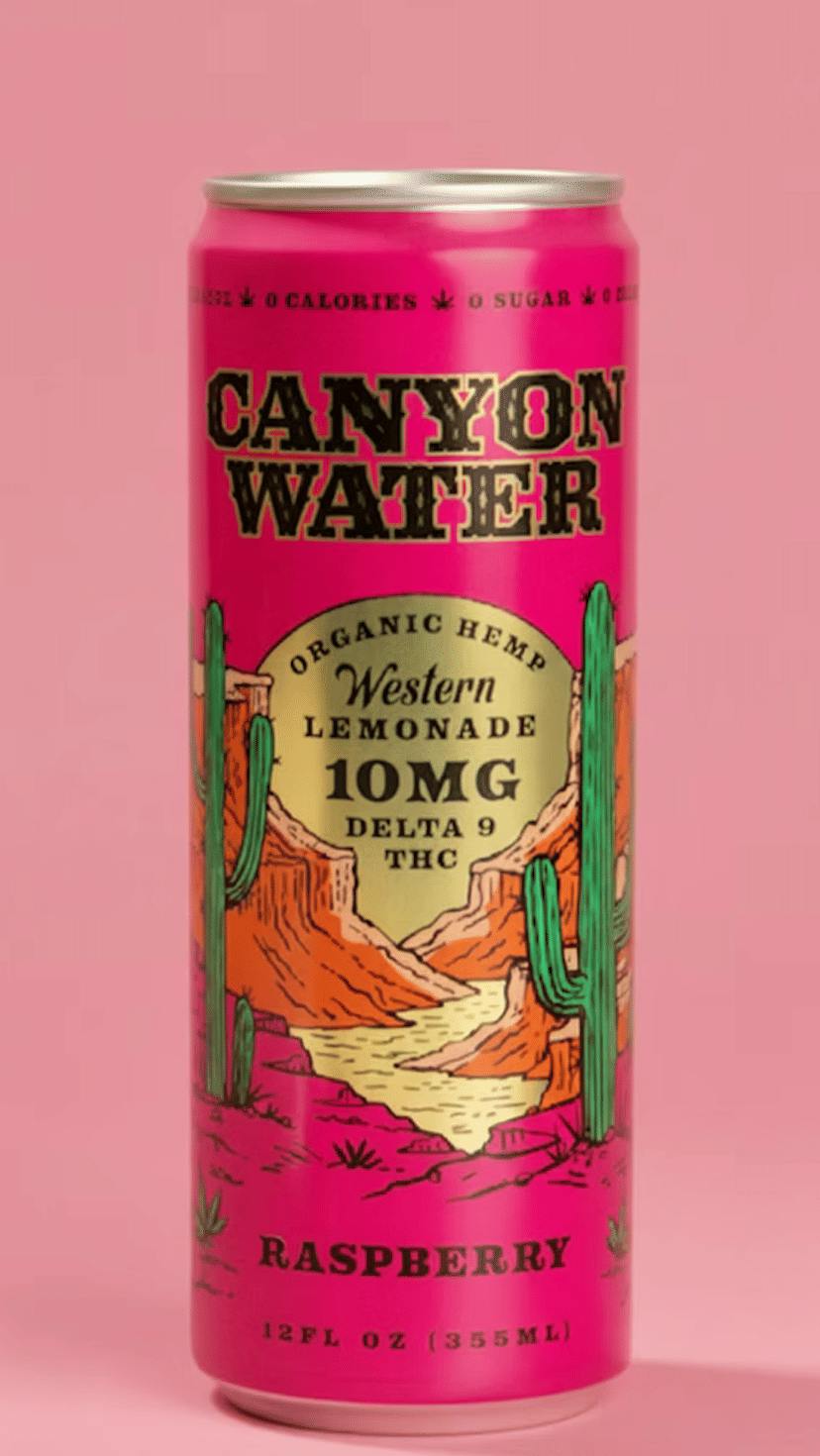 Canyon Water - Raspberry Lemonade - Single Can