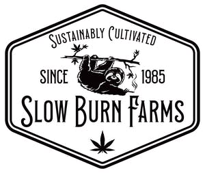 Slow Burn Farms Lil Burns Preroll 2pk 1g