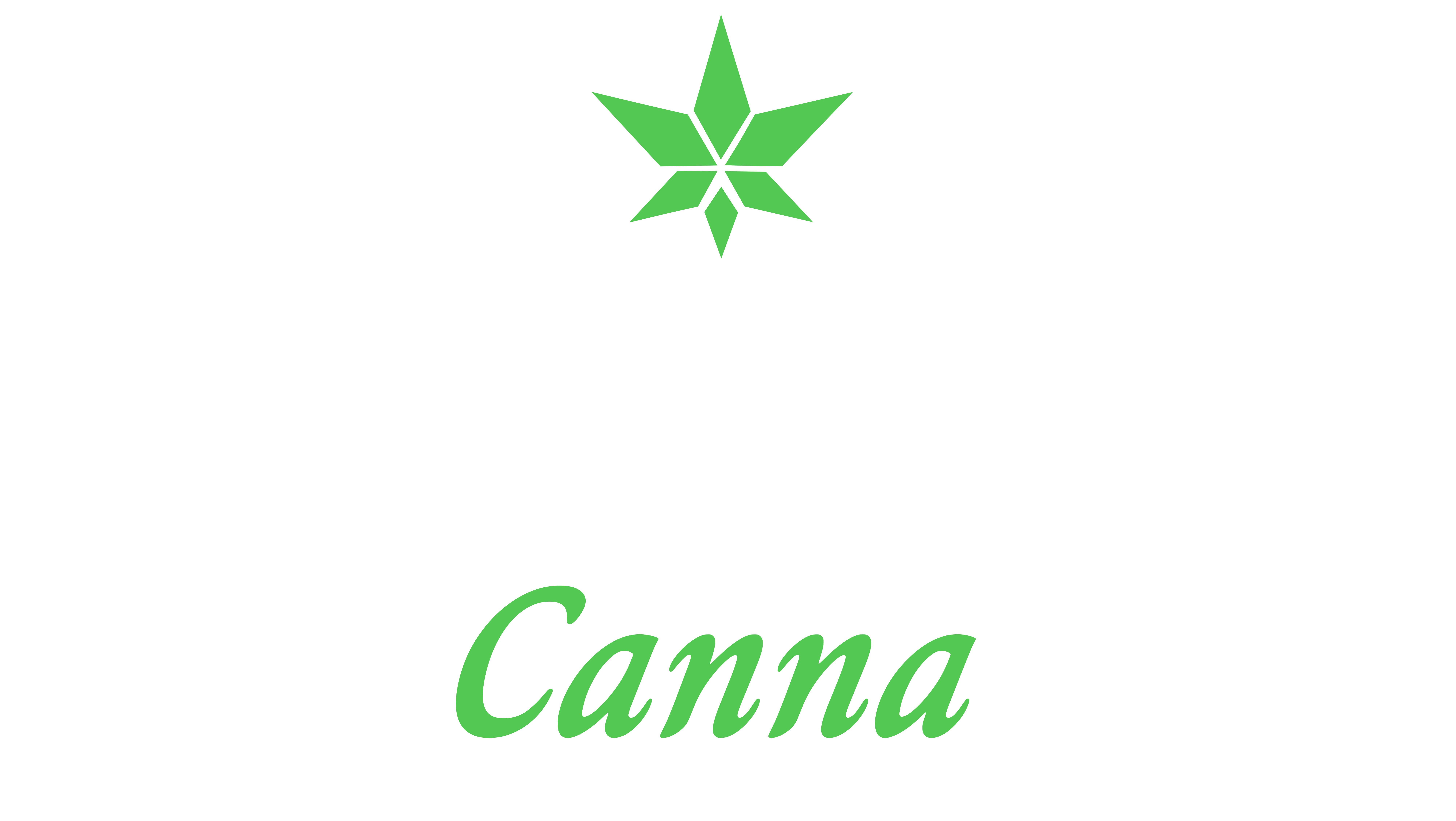 SPCY Pre-Roll 1g