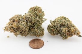 Jack Herer