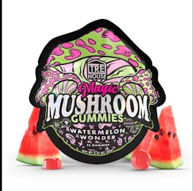 Magic Mushroom Gummies | Watermelon Wonder