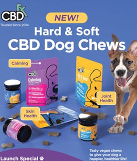 Skin Health CBD Dog Soft Chews