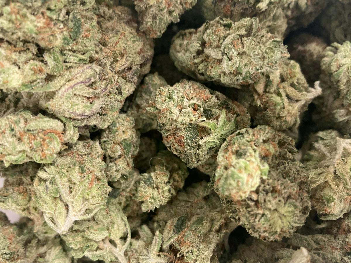 Indian Gold | Indica