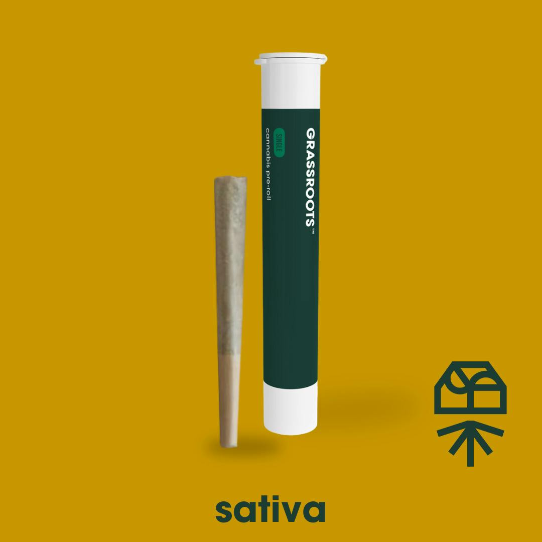 Baya Dulce Pre-Roll