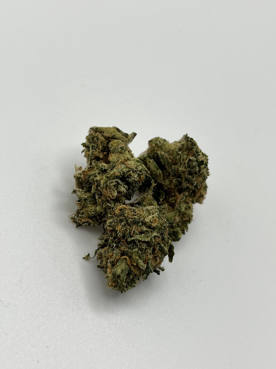Mendo: Mendo Oranges~