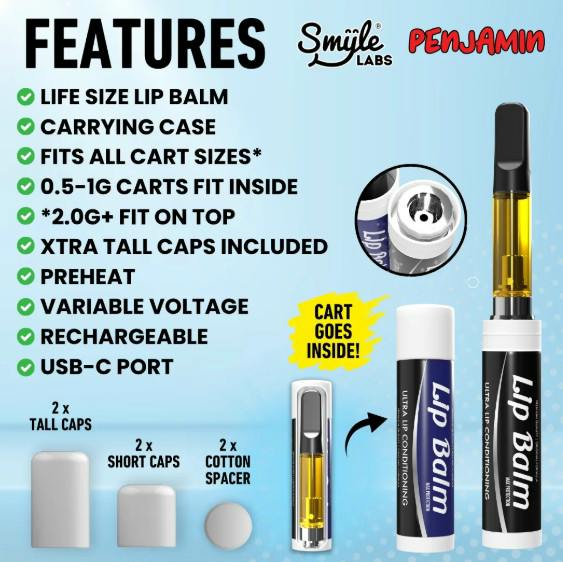 Battery ~ Smyle ~ Lip Balm ~ Battery + Hidden Storage