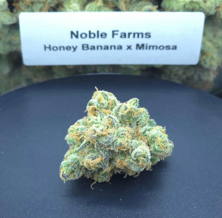 HONEY BANANA: Mimosa ~