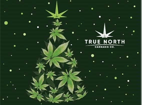 True North Holiday Card