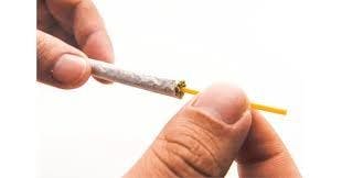 Turbocore 5PK Blonde Hash