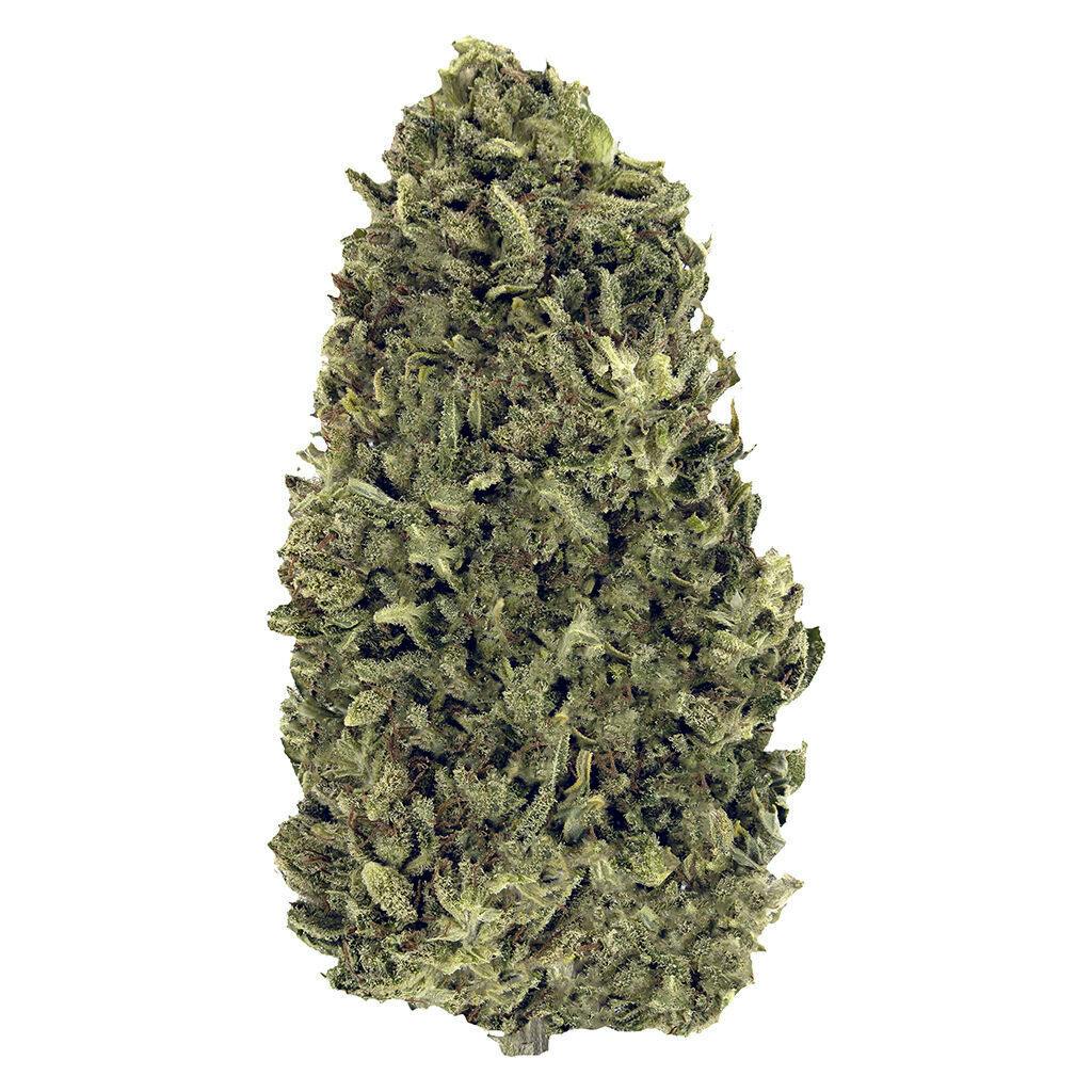 LoFi - Nostalgia Craft Hemp (CBD) - 7g