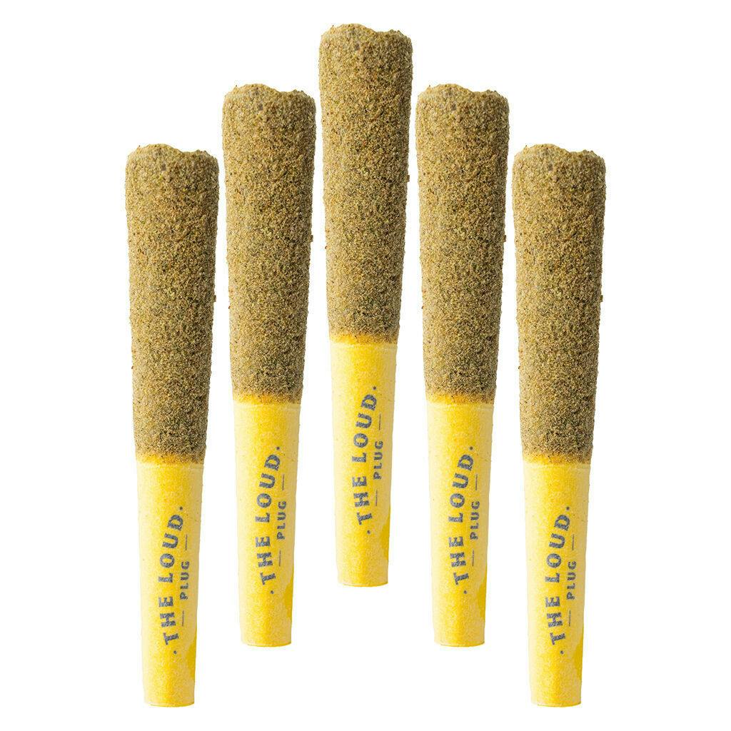 The Loud Plug - Drippyz Lemon GLTO Infused Pre-Roll - 5x0.5g