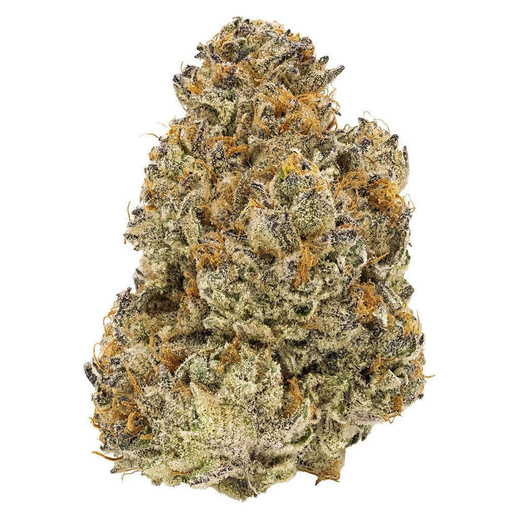 FIGR - Chatty Kathy, 3.3% Terps - Dried Flower - 28g