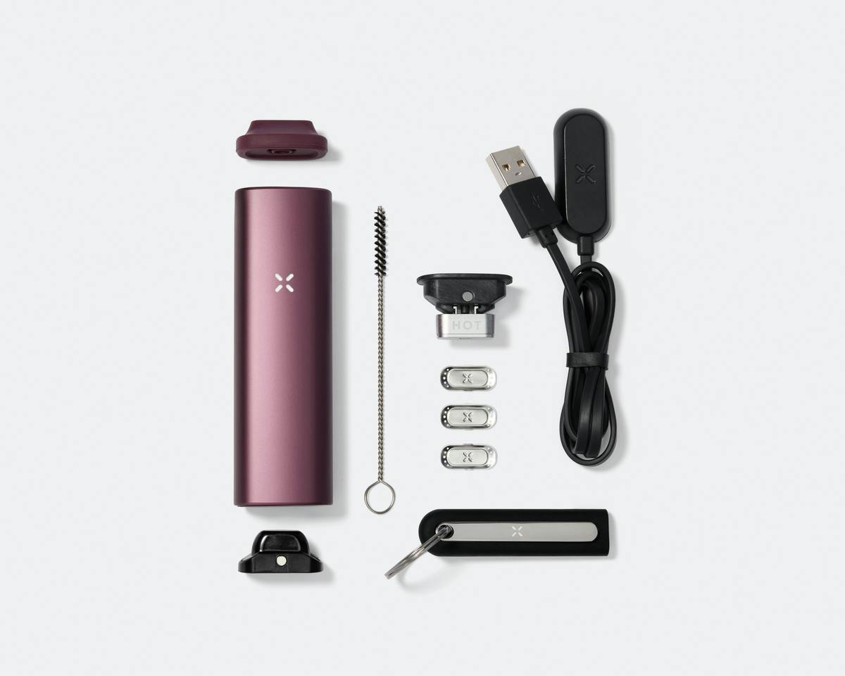 PAX | Elderberry | Plus