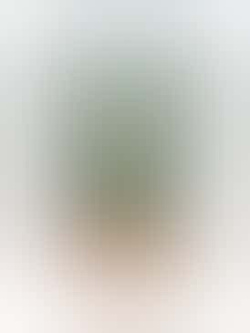 Vana - Lemon Citron 1oz (28 Gram) (I-H) Pre-Pack