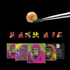 Hash Ape Cold Cured Live Rosin Mixed Micron - MSG