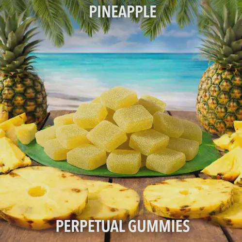Pineapple Gummies | 20 servings | 100mg (H)