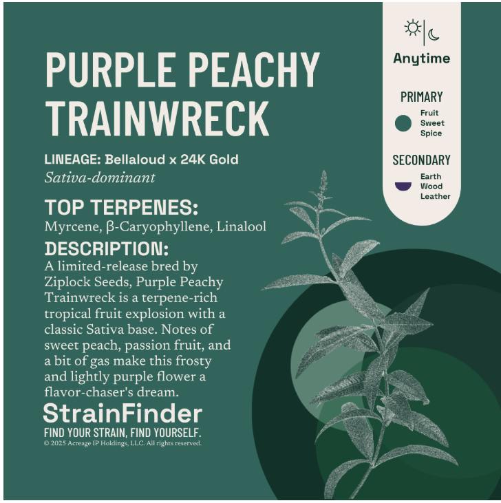 The Botanist | Purple Peachy Trainwreck | Flower | 3.5g (S)