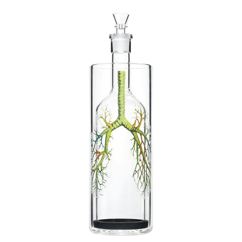 Vital Roots