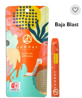 2g Live Resin Disposable - Spicy Banana - Sunday Extracts