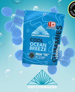 2,500mg Gummies - Cool Ocean Breeze - Daychangers