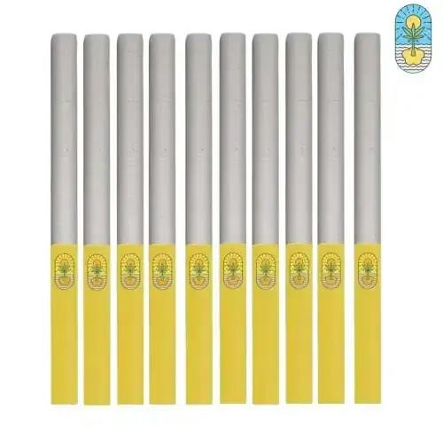 OHJA | Raspberry Diesel Pre-roll | 10x0.35g