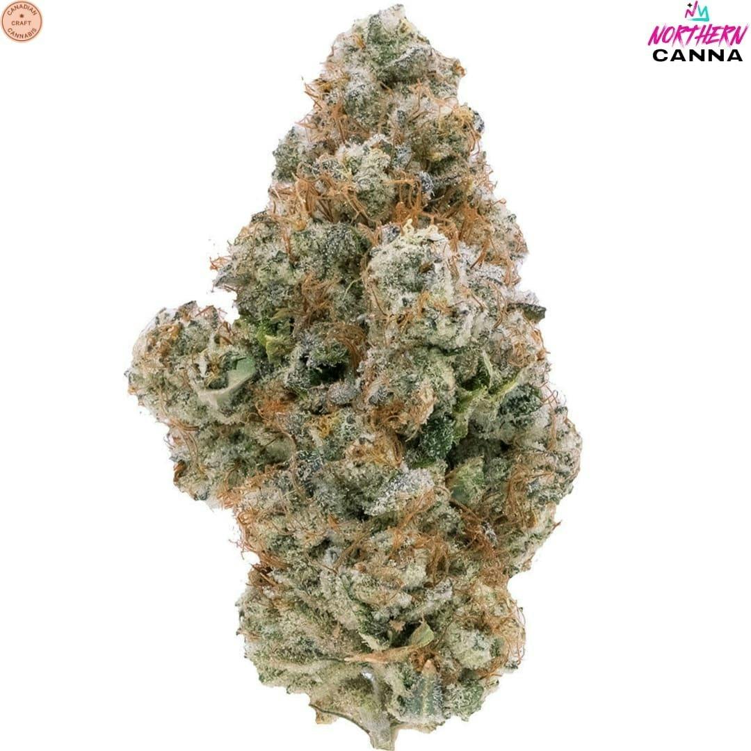 Northern Canna | Galactic Guava Craft Flower | 3.5g