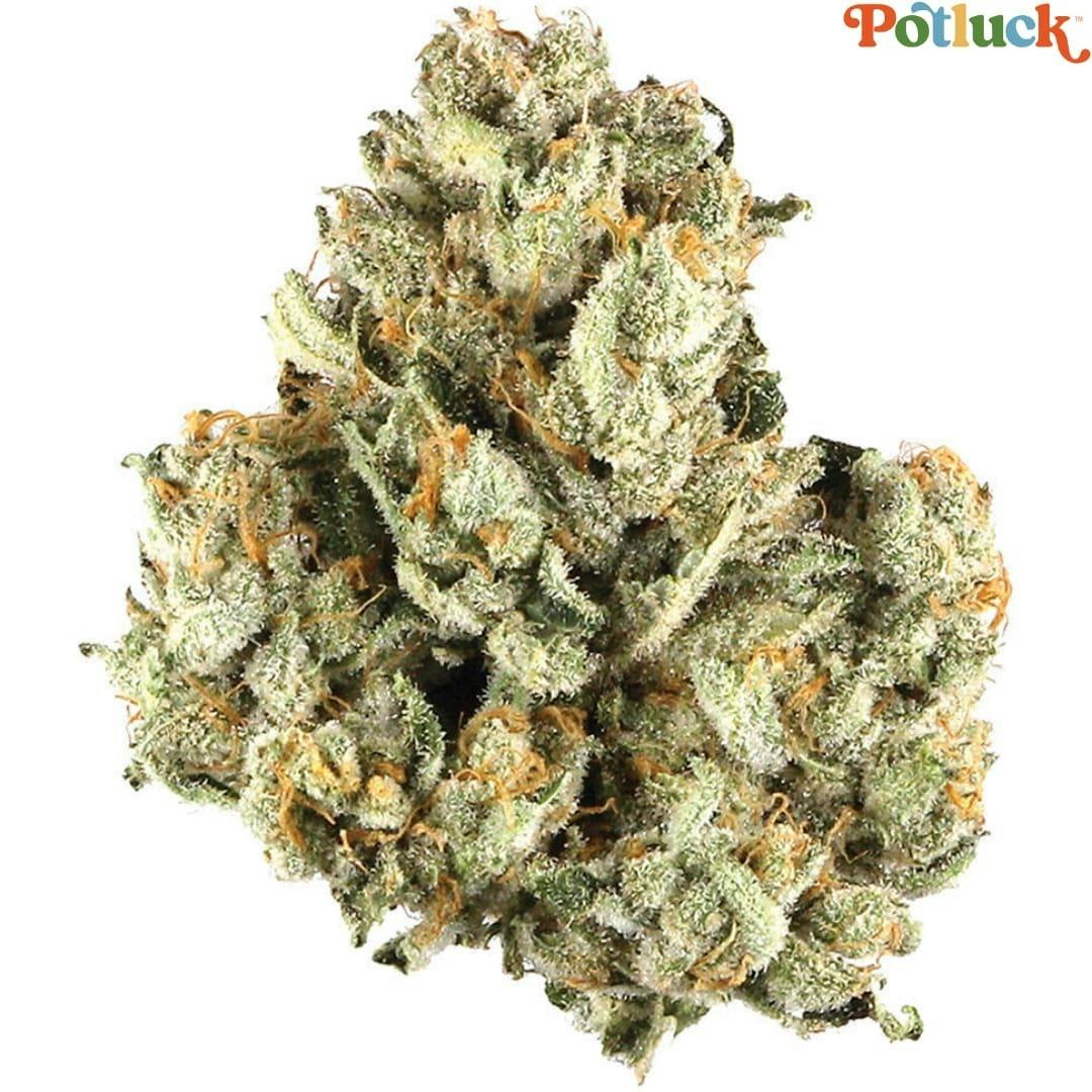 Potluck | Maple Pancakes Flower | 7g