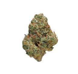 Guava | Flower | 4G