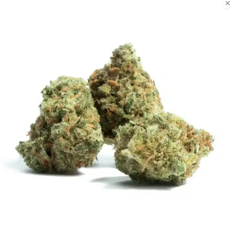 Pink Lemonade | Flower | 4G