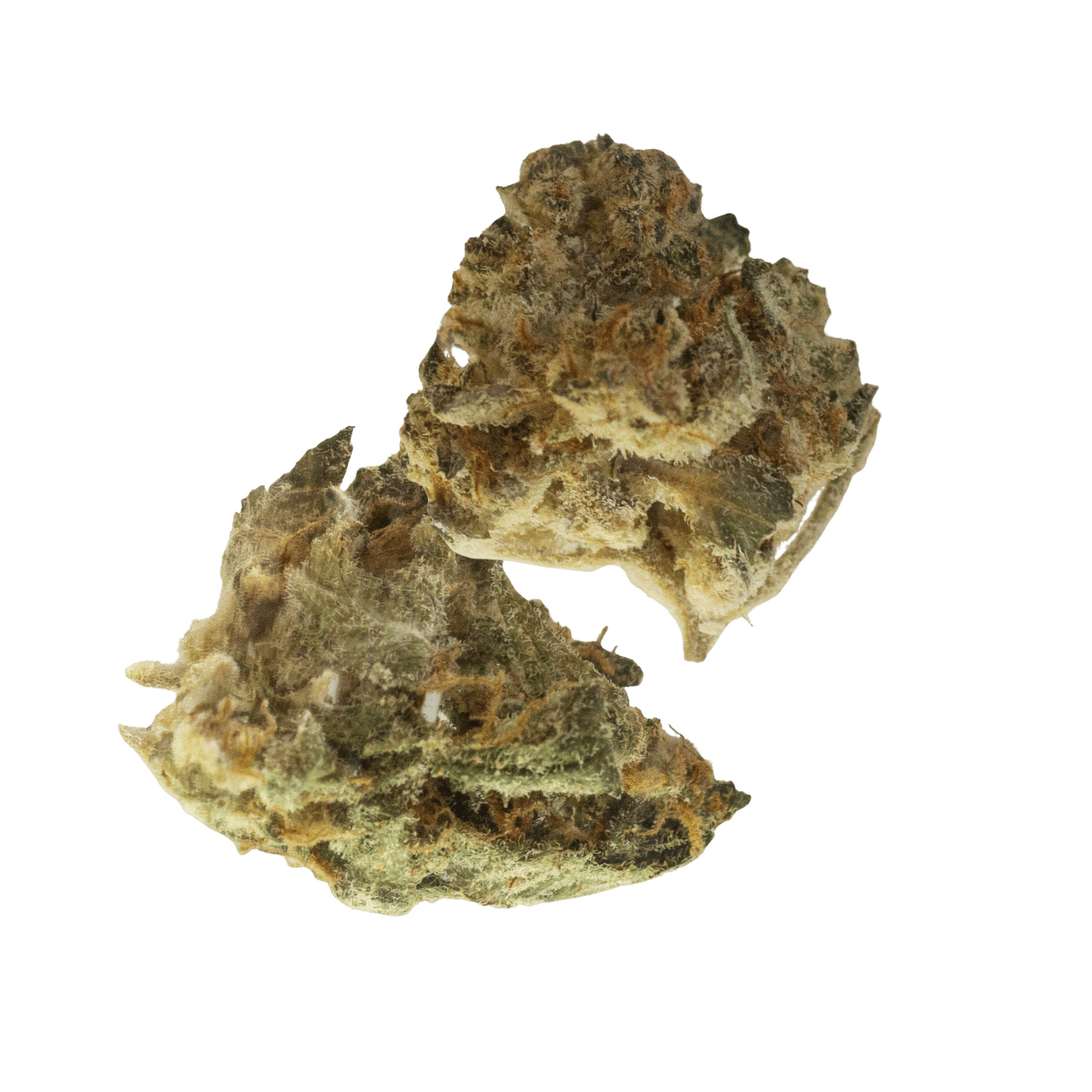 Fog Dog | Flower | 3.5G