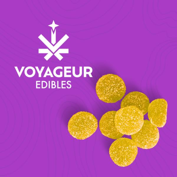 Voyageur | Pineapple | Gummies | 10ct | 100mg