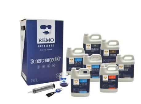 Remo's