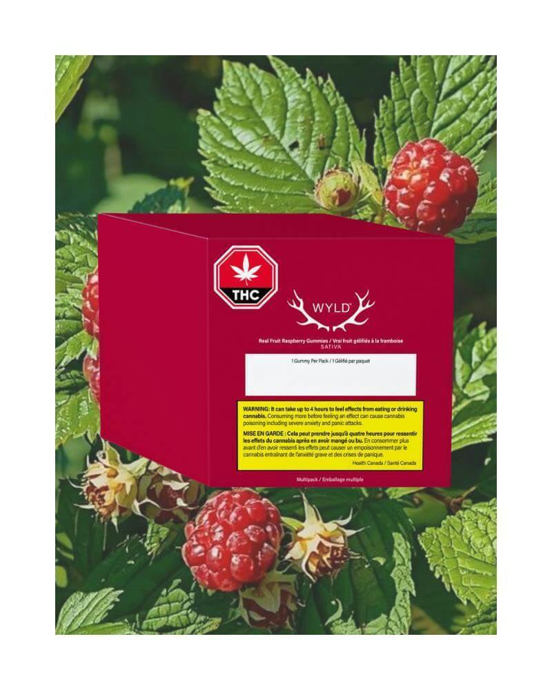 Real Fruit Raspberry Multipack Soft Chews | 100mg THC