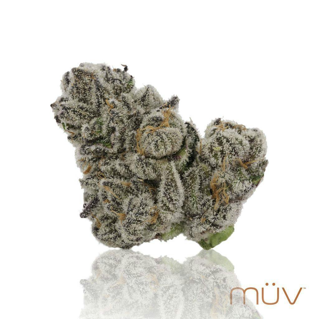 MÜV Glitter Bomb 3.5g cannabis product