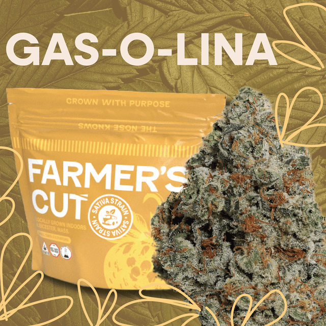 Gas-O-Lina | 14g Buds | Farmer's Cut