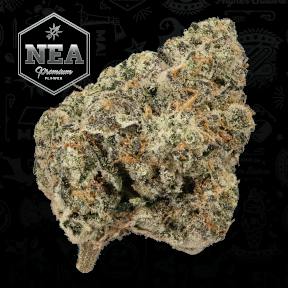 Mexican Flambe | 3.5g | Northeast Alternatives