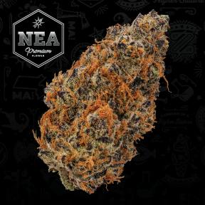 Garlicane | 3.5g | Northeast Alternatives