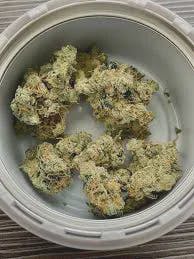 Maple Zyrup | 14g | INSA
