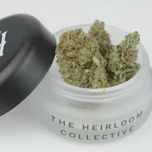 Cheezy Kush | 14g | The Heirloom Collective