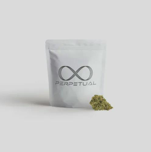 Pineapple Beignat | 3.5g | Perpetual